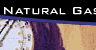 Natural Gas Division